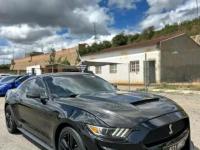 FORD MUSTANG BY COBRA RACING 